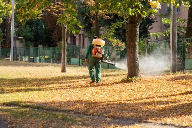 Best Mosquito Control Services  in Winchester, TN