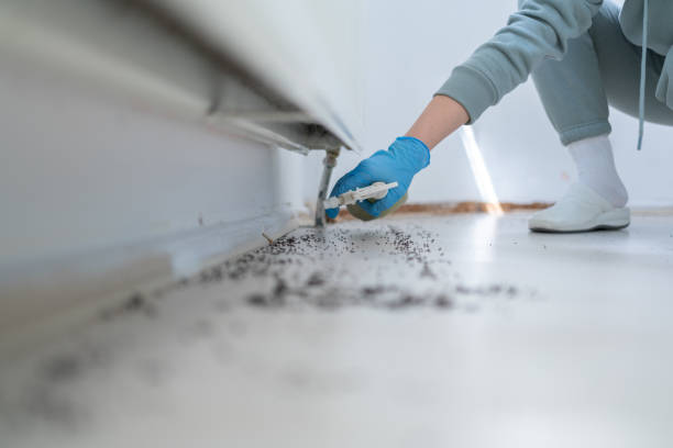 Best Pest Prevention Services  in Winchester, TN